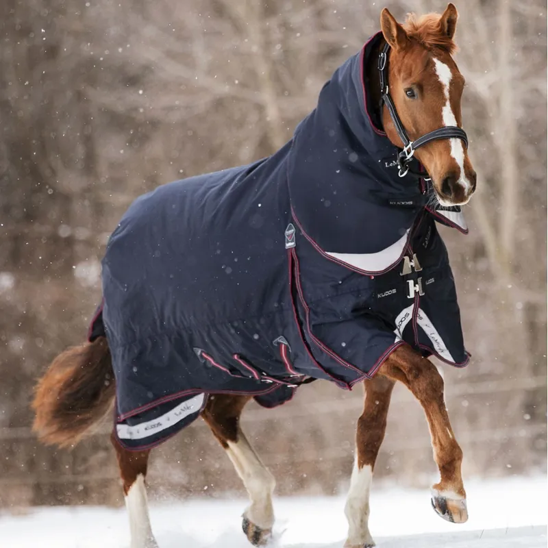 LeMieux Kudos 350g Detachable Neck Turnout Rug - Navy