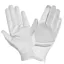 LeMieux ProMesh Adults Riding Gloves - White