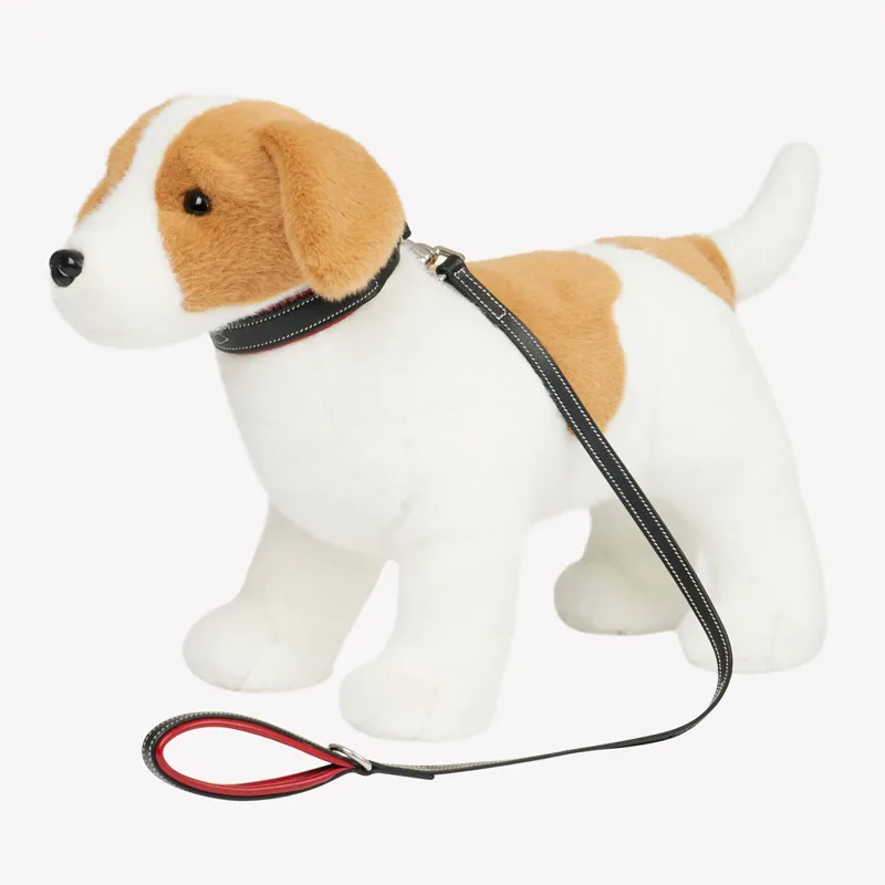 LeMieux Mini Puppy Toy Leather Collar and Lead Set - Chilli-1