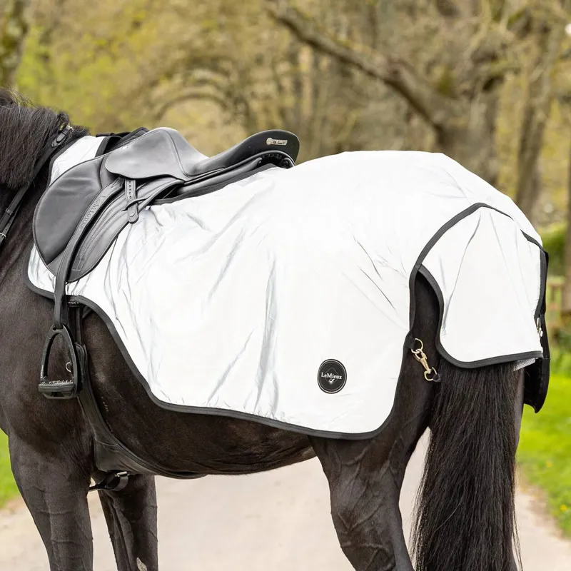 LeMieux Reflective Exercise Sheet - Silver