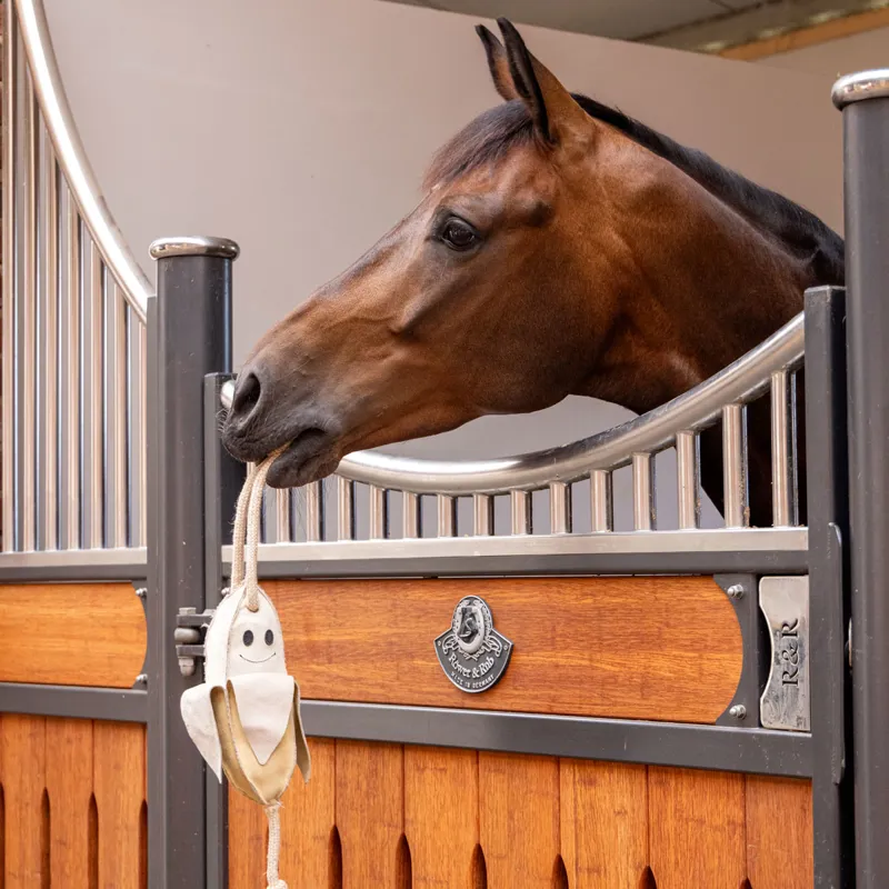 LeMieux Horse Stable Toy - Banana-1