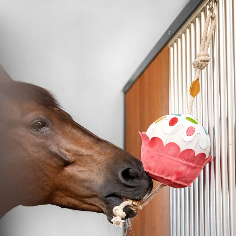 LeMieux Horse Stable Toy - Cupcake-1