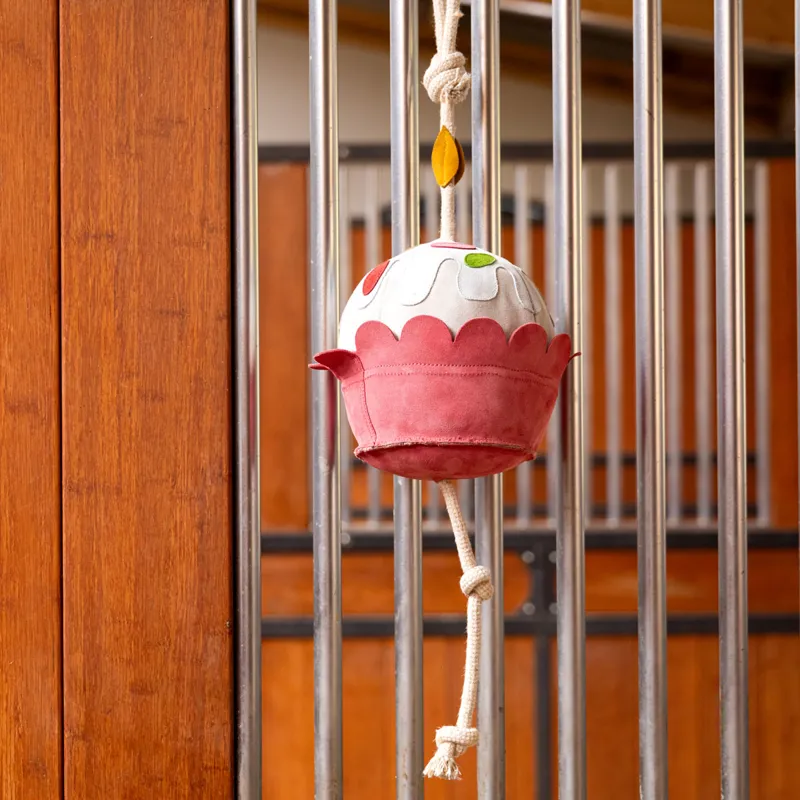 LeMieux Horse Stable Toy - Cupcake-2