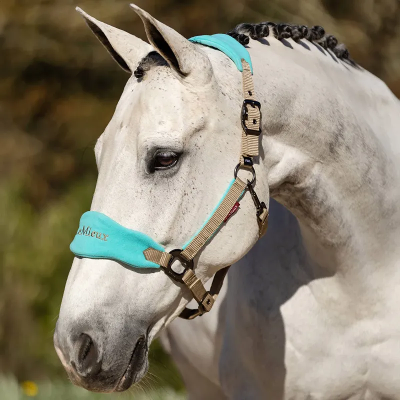 LeMieux Vogue Headcollar and Lead Rope Set - Azure