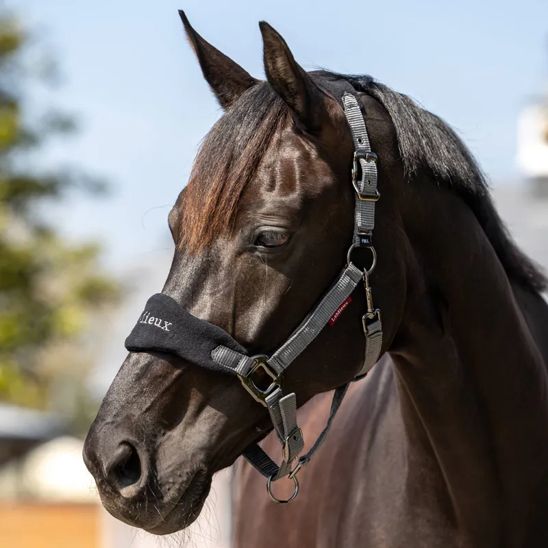 LeMieux Vogue Headcollar and Lead Rope Set - Black/Grey-1
