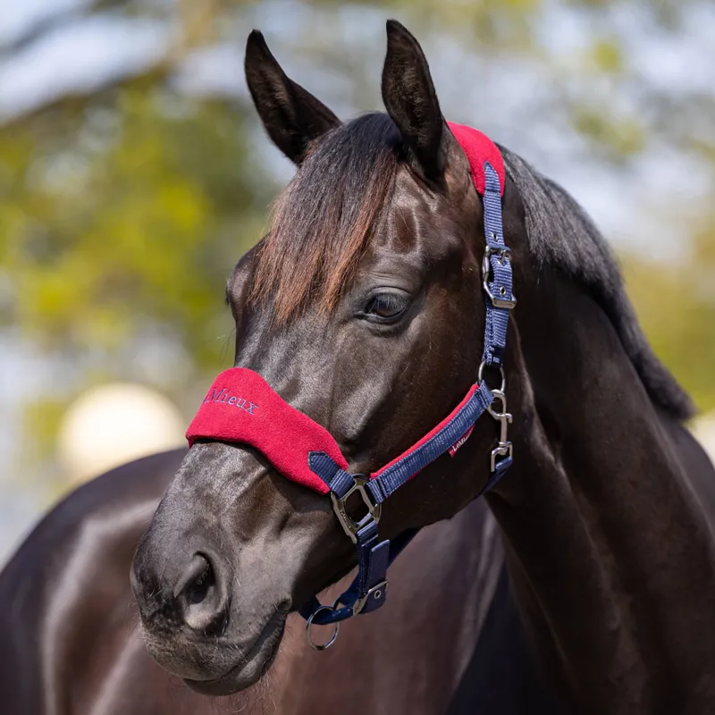 LeMieux Vogue Headcollar and Lead Rope Set - Navy/Burgundy-1