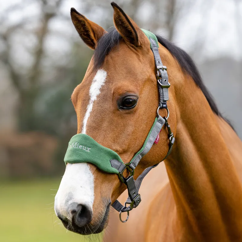 LeMieux Vogue Headcollar and Lead Rope Set Hunter Green/Grey