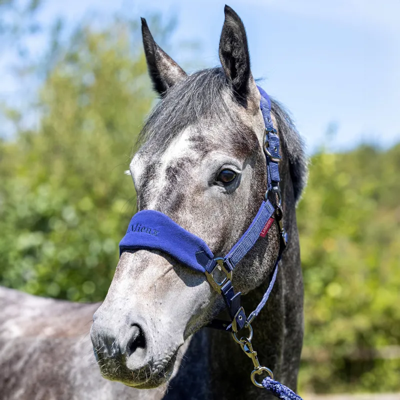 LeMieux Vogue Headcollar and Lead Rope Set - Ink Blue-1