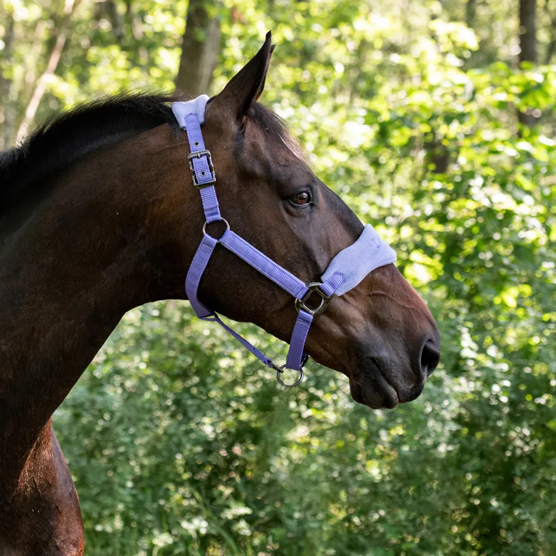 LeMieux Vogue Headcollar and Lead Rope Set Bluebell