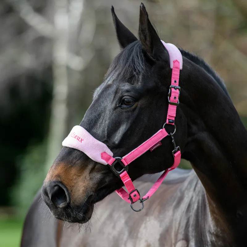 LeMieux Vogue Headcollar and Lead Rope Set Watermelon
