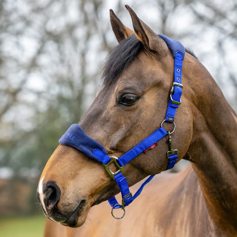 LeMieux Vogue Headcollar and Lead Rope Set - Navy/Royal-1