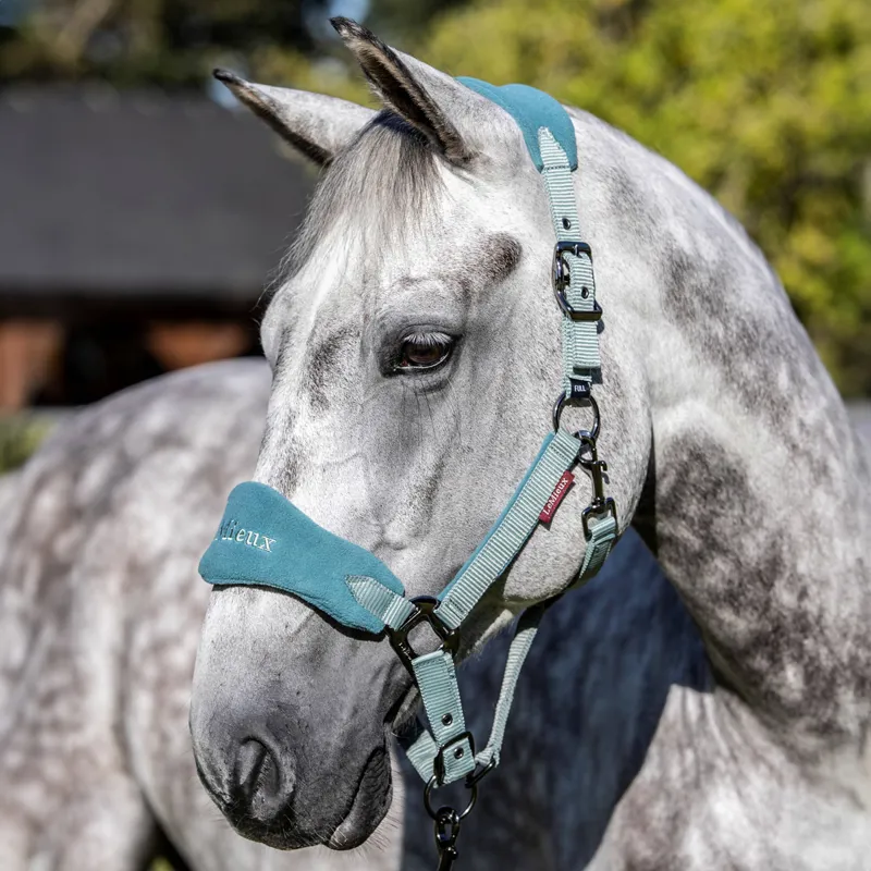 LeMieux Vogue Headcollar and Lead Rope Set - Sage-1