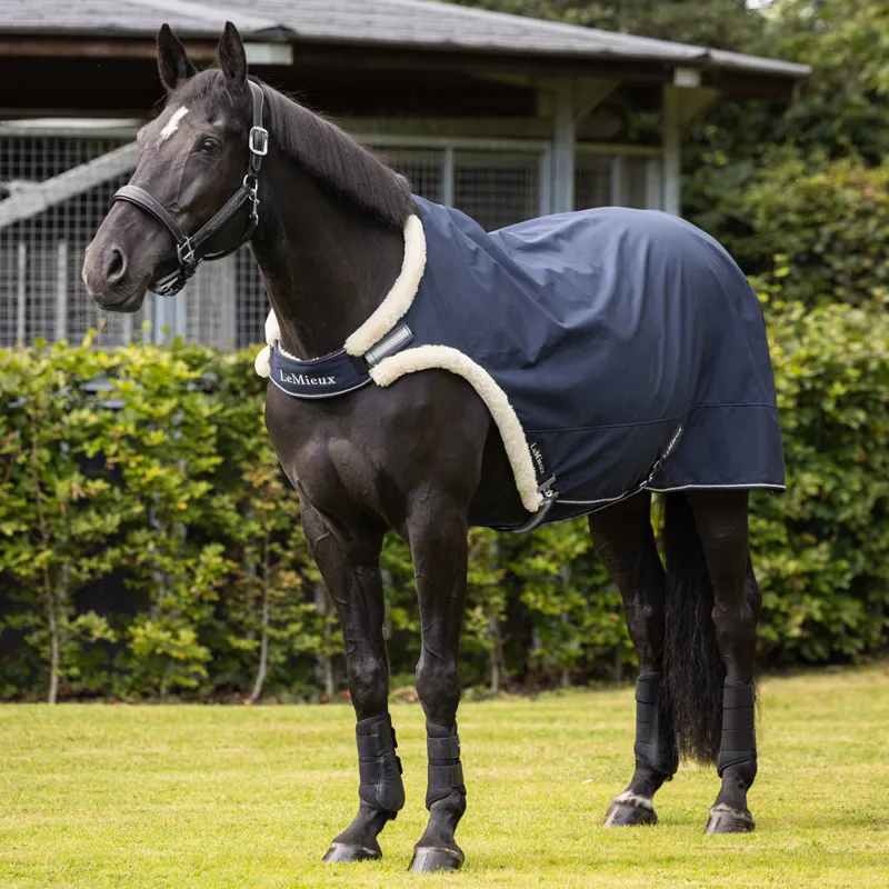 LeMieux Walker Rug - Navy