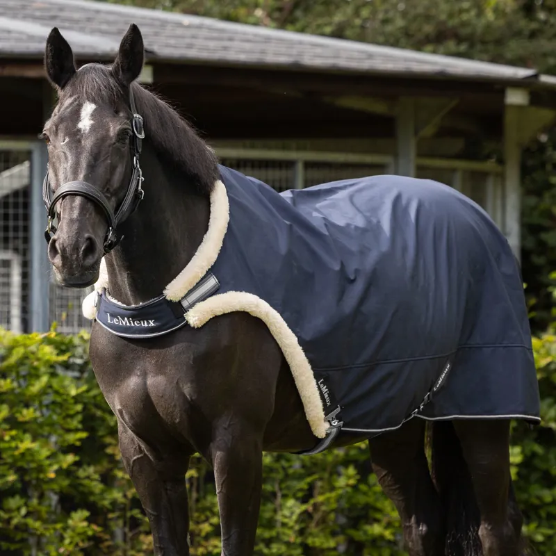 LeMieux Walker Rug - Navy-2