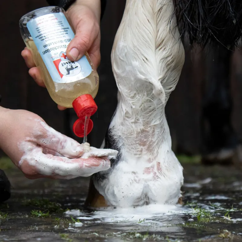 Leovet First Aid MED-Wash Lotion-1