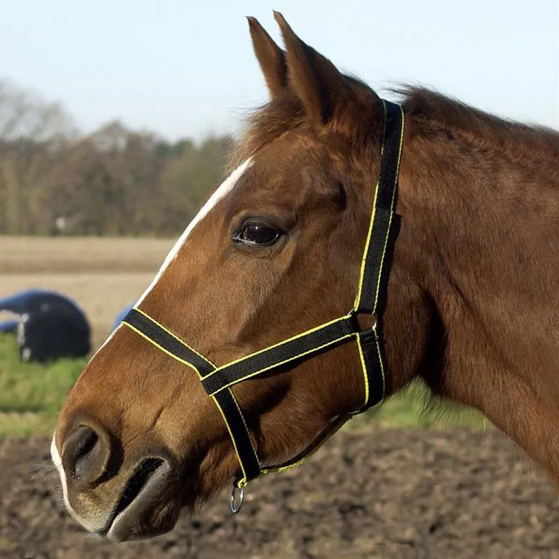 Libbys Field Safe Headcollar Black/Yellow