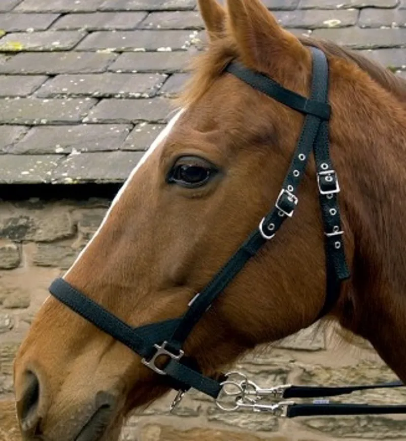 Libbys Scawbrig Bitless Bridle - Black