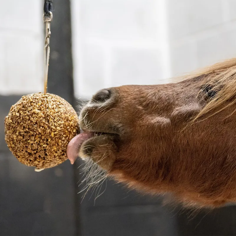 Likit Granola Stall Ball - Apple-2