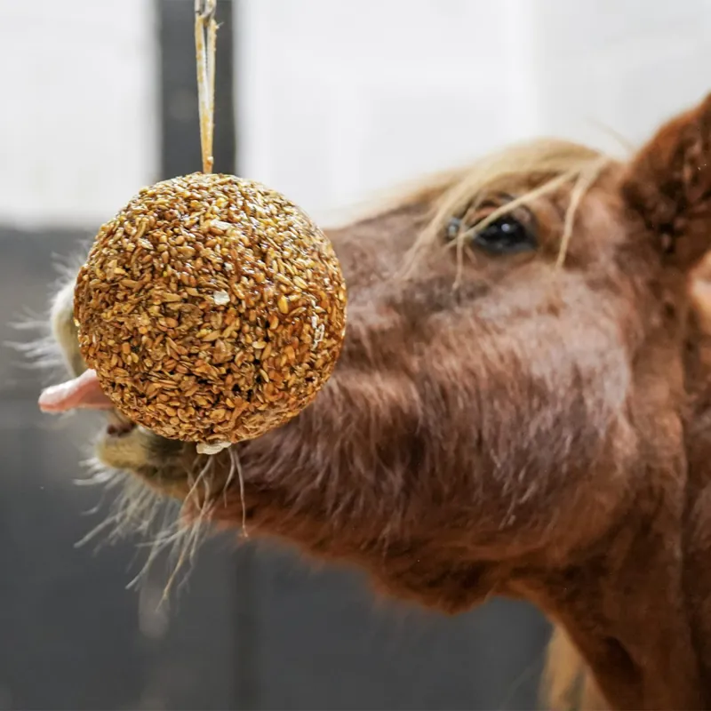 Likit Granola Stall Ball - Peppermint-1