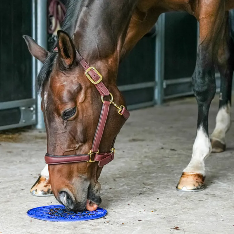 Likit Graze Maze Slow Feeding Mat - Blue-4