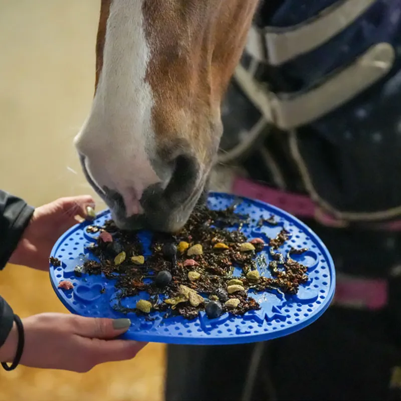 Likit Graze Maze Slow Feeding Mat - Blue-7