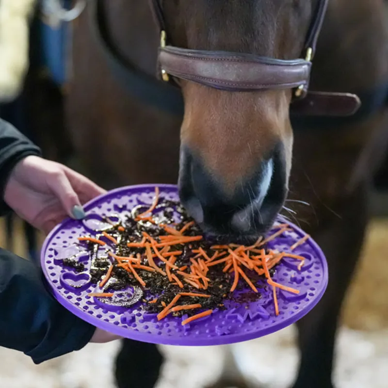 Likit Graze Maze Slow Feeding Mat - Purple-5