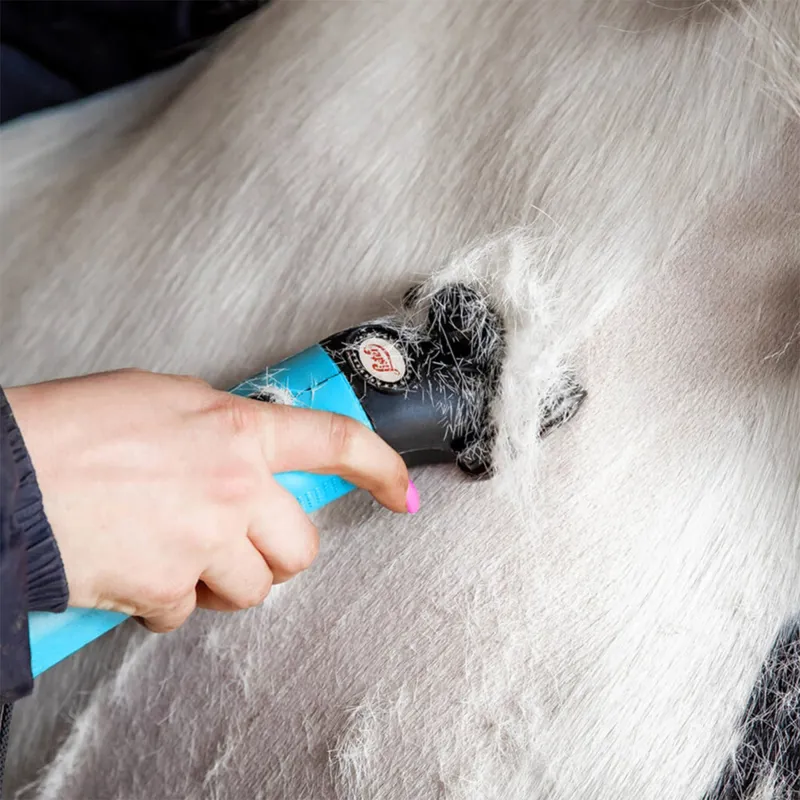 Lister Star Mains Clipper Set - Turquoise-1