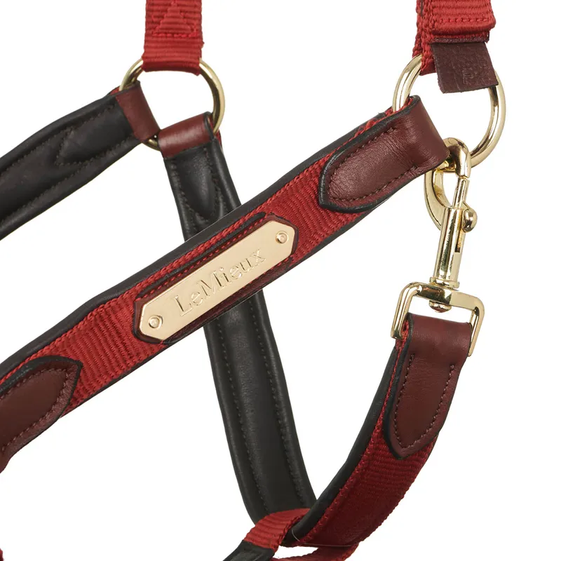 LeMieux Capella Leather Headcollar Sienna