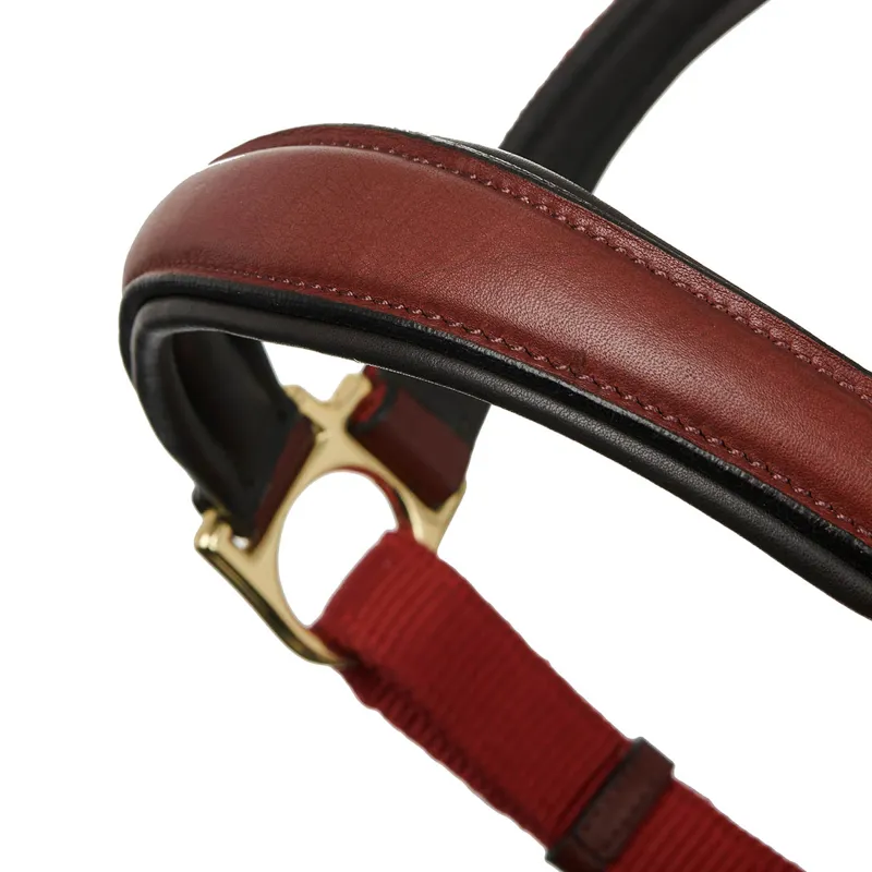 LeMieux Capella Leather Headcollar Sienna