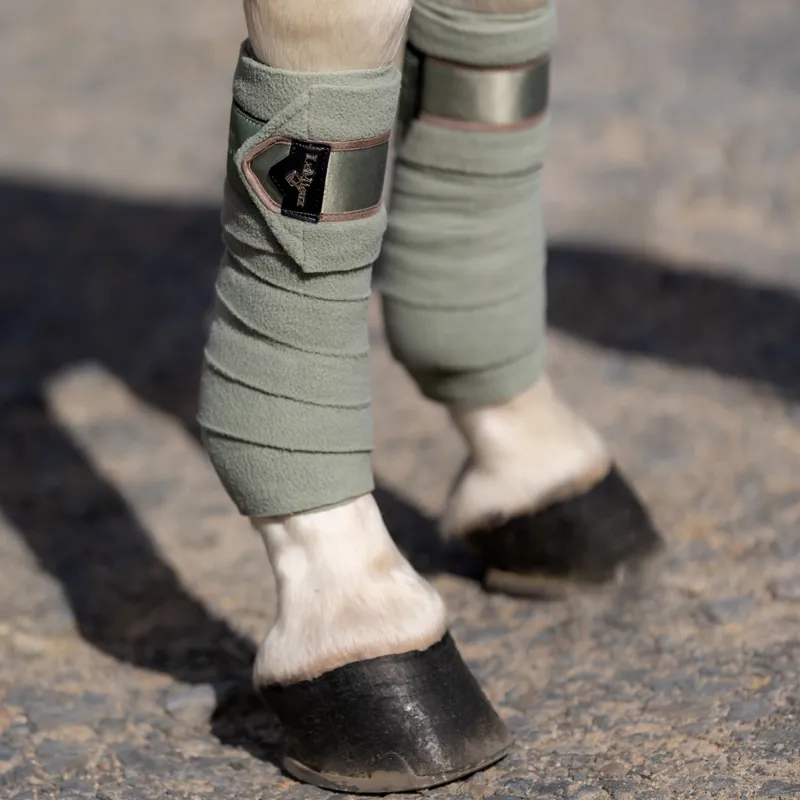 LeMieux Loire Polo Bandages - Fern-2