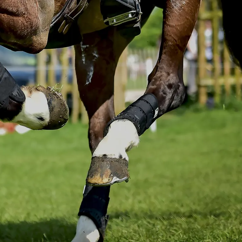 Majyk Equipe XC Elite Hind Boots - Black-2