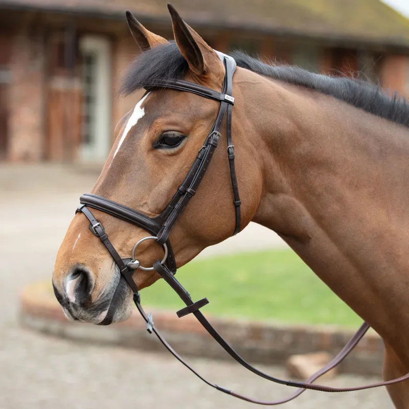 Mark Todd Cut Away Flash Bridle Havana