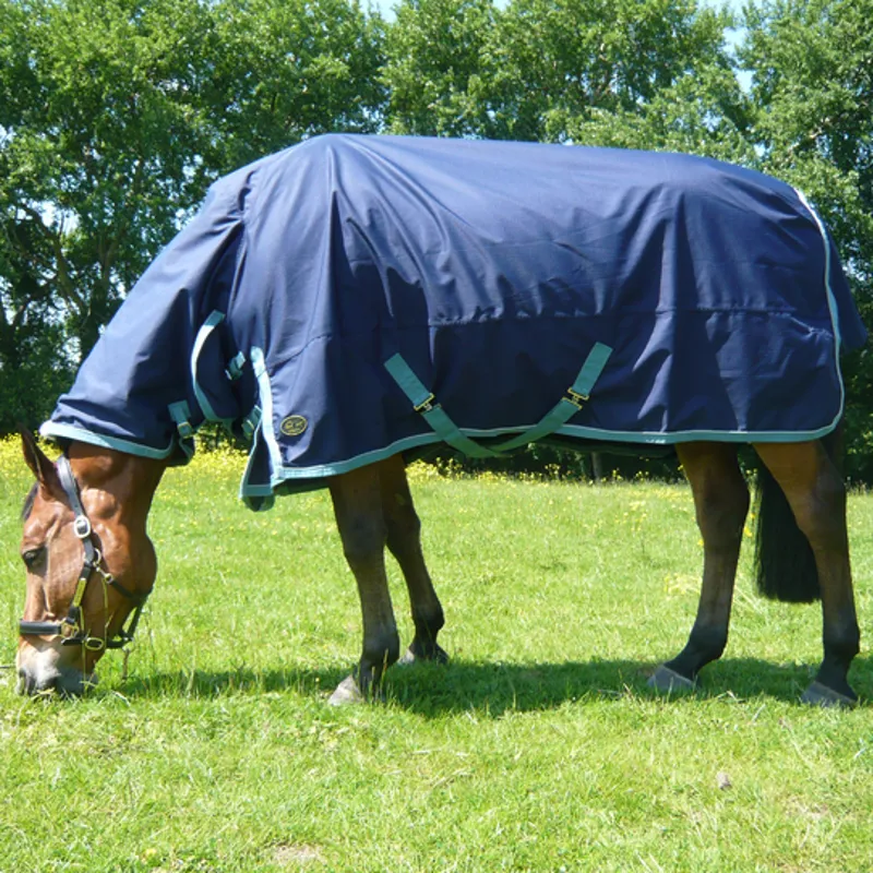 Mark Todd Lightweight Combo Horse Turnout Rug Navy And Aqua Sizes 5'6" To 7'3" 