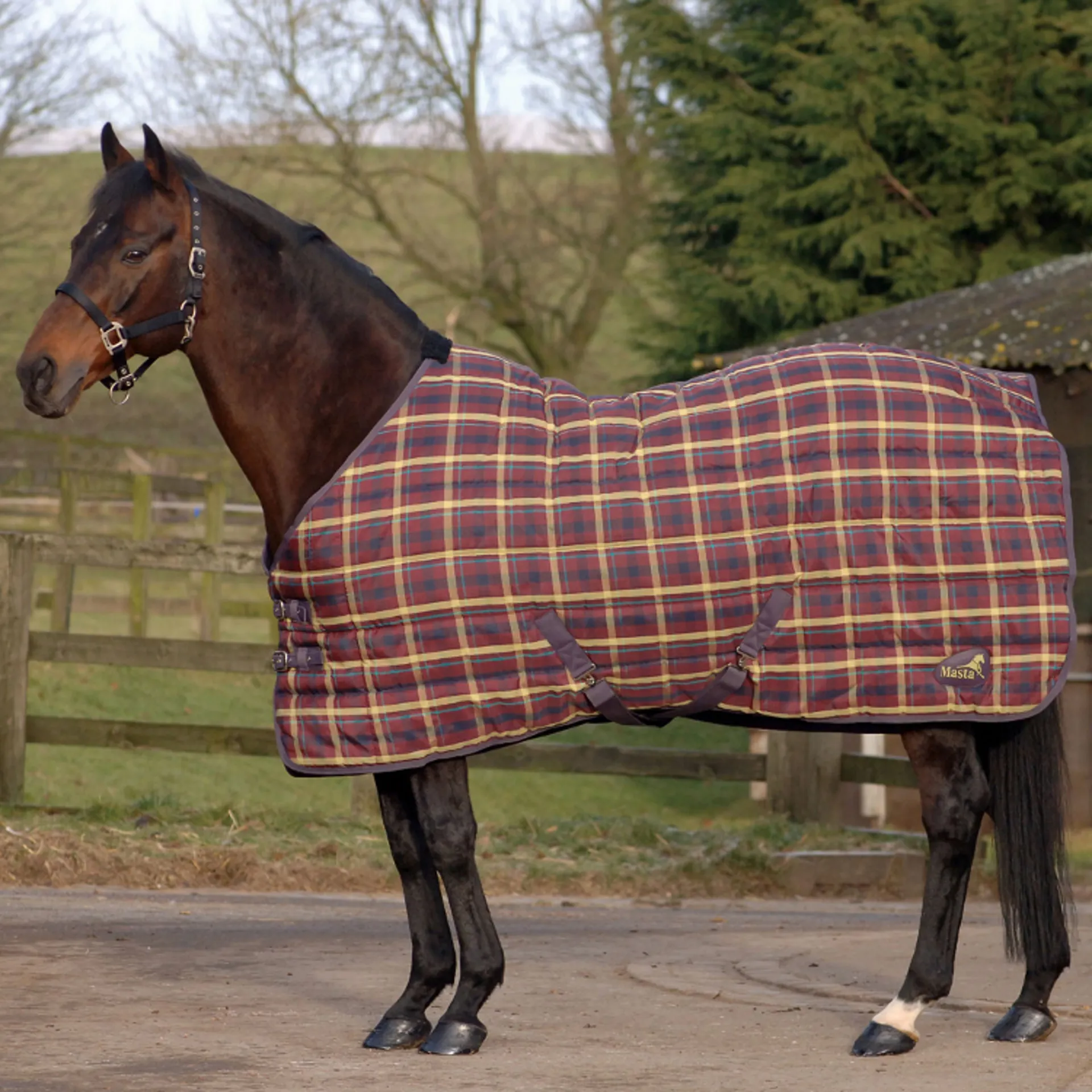 Masta PP Check Heavy Stable Rug 340g - Brown