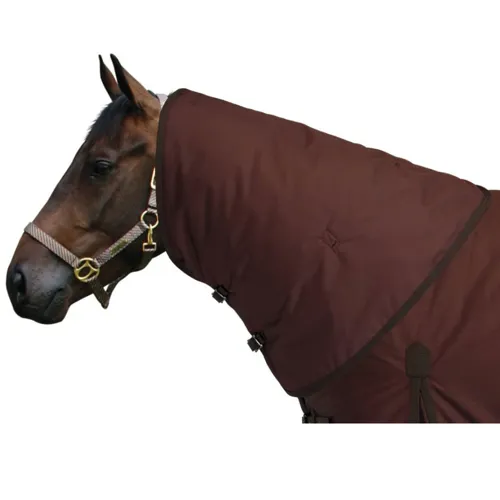 Masta Zing Heavy Turnout Rug 340g Brown Redpost Equestrian
