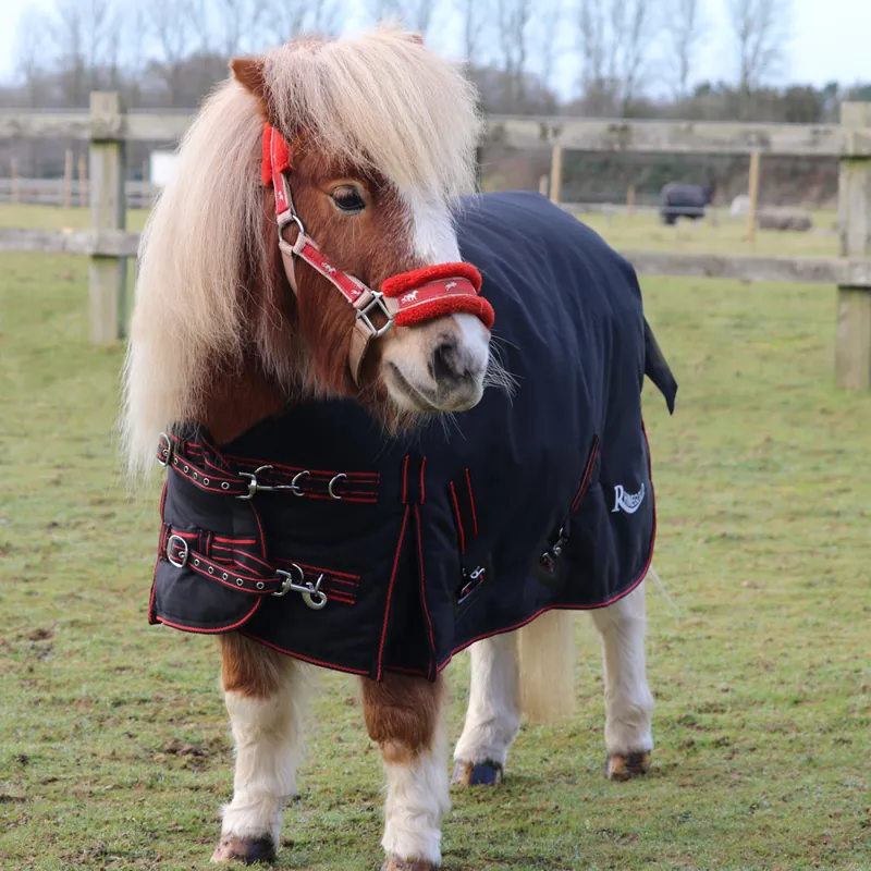 Rhinegold Mini Thor 1000D 350g Standard Neck Turnout Rug - Black