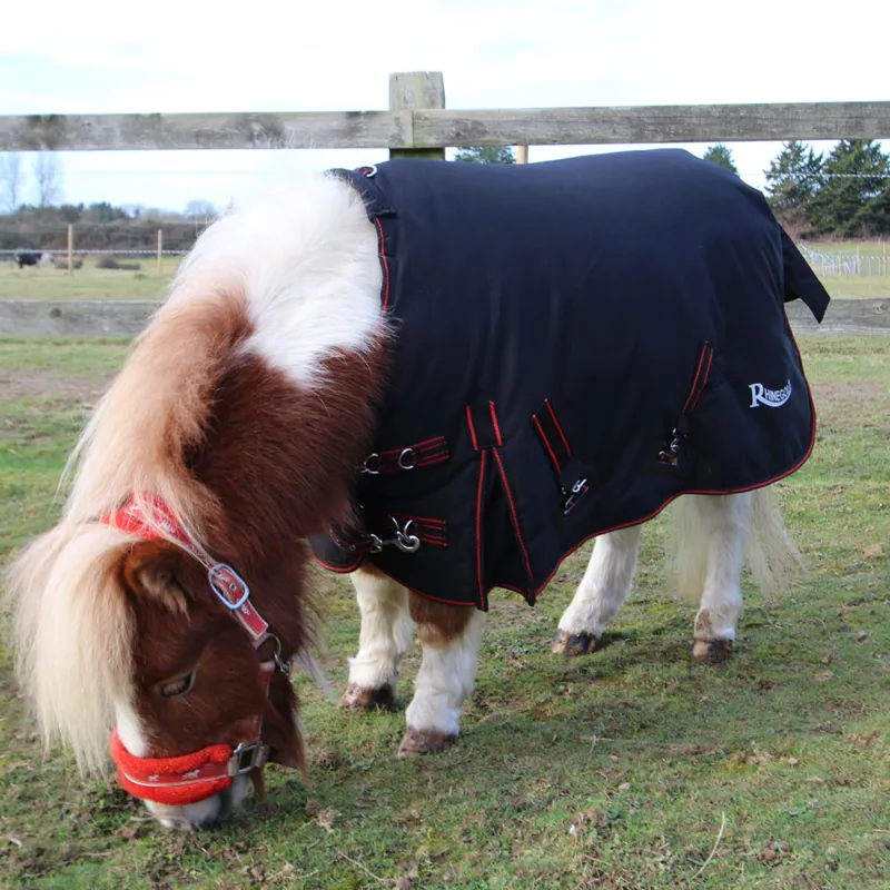 Rhinegold Mini Thor 1000D 350g Standard Neck Turnout Rug - Black-1