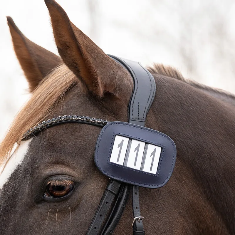 QHP Modeste Square Number Holder - Navy-1