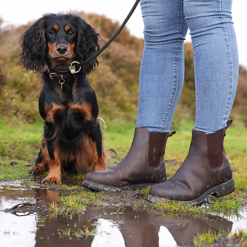 Ladies dealer boots uk shop
