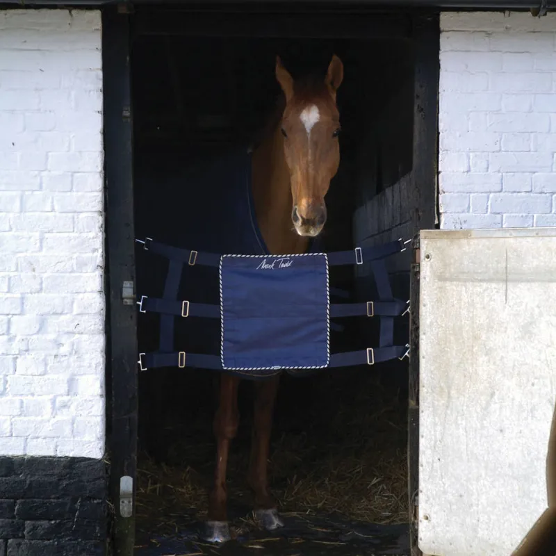 Mark Todd Competition Stall Guard Navy/Silver