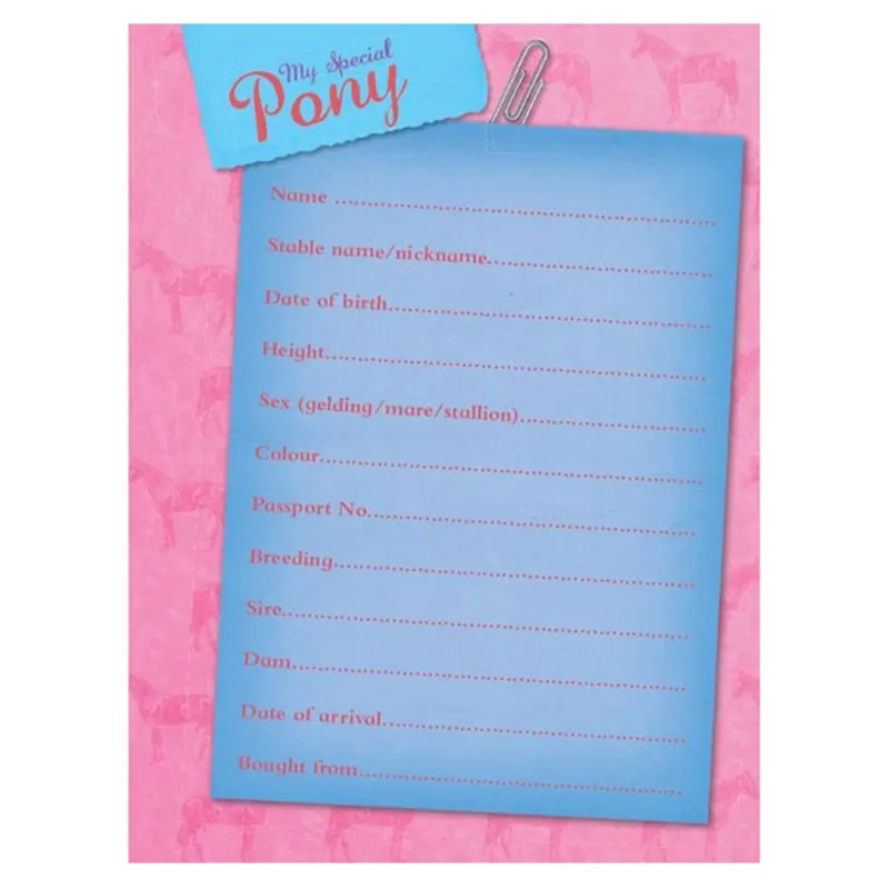 Bree Merryn My Special Pony Record Book-3