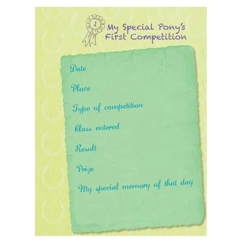 Bree Merryn My Special Pony Record Book-1