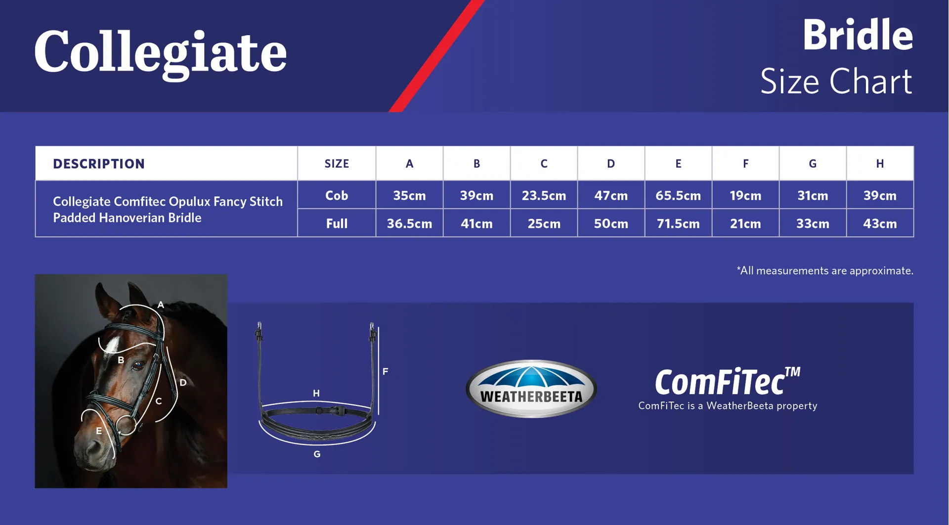 Collegiate Hannoverian Flash Bridle Sizing