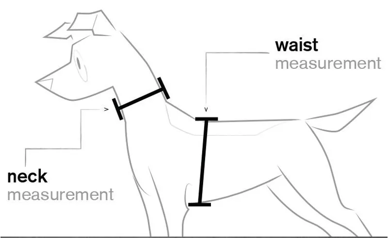 Alcott Adverture Dog Harness Measuring Guide