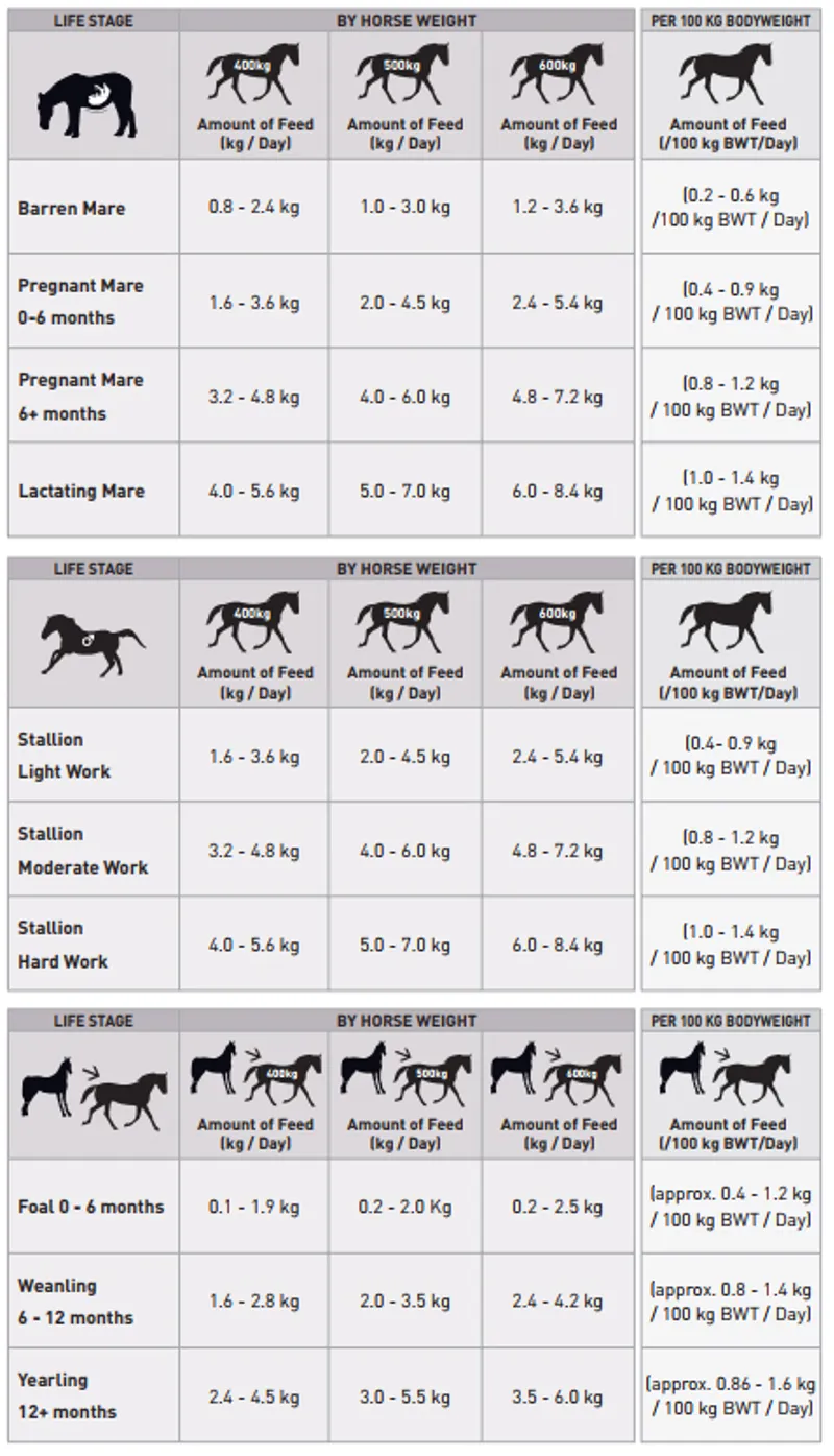 RED MILLS Stud Cubes Feeding Recommendations
