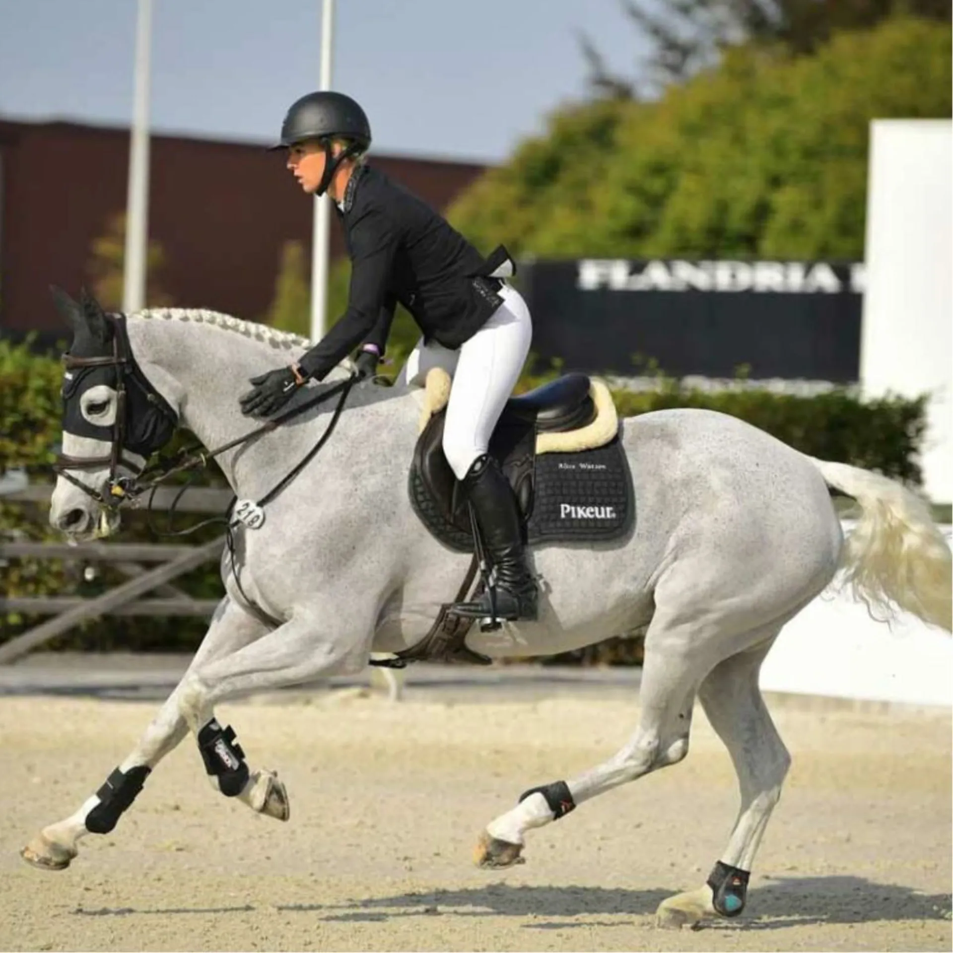 Alice Watson Showjumper Billy Lemon