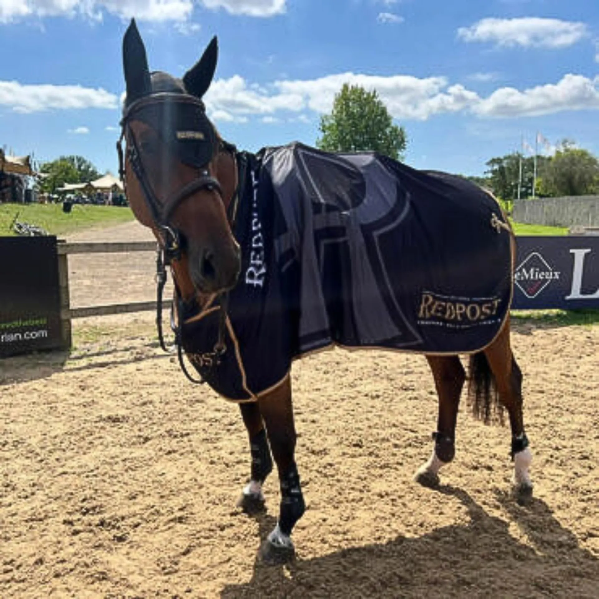 Horse - Redpost Rug - Prizegiving
