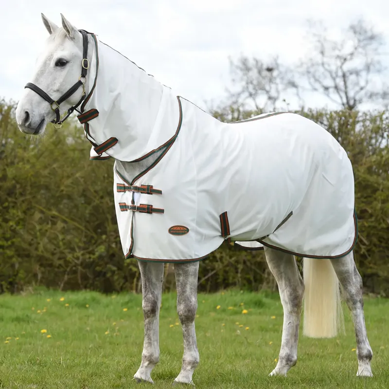Fly Rugs | Shop Fly Rugs for Horses