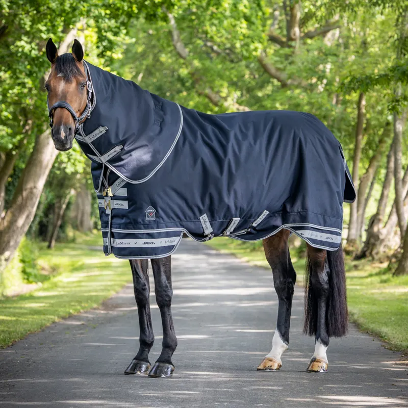 Lightweight Turnout Rugs | Redpost Equestrian