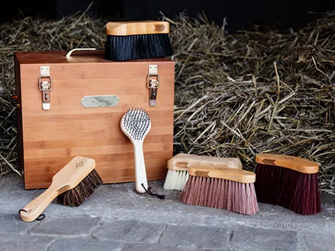 Kentucky Grooming Deluxe